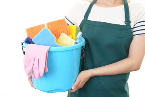 Deep cleaning service for a Harringay home interior