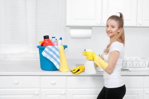 A local window cleaner working on a Harringay property using safe, practical equipment