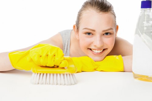 Local cleaning professionals working in a Harringay flat with hallway access