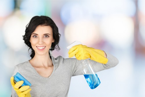 Window cleaning for flats and upper-floor windows in Harringay with attention to access and detail
