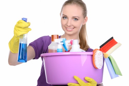 Customer payment and invoice discussion for a cleaning appointment