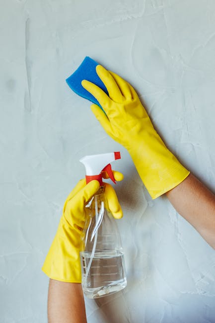 Two professional female cleaners from Cleaners Harringay stand indoors against a plain white wall, dressed in beige cleaning uniforms with matching badges. One holds a red vacuum cleaner, while the other grips a green mop handle, both smiling at the camera. The setting suggests a focus on domestic cleaning, emphasizing thorough surface cleaning, deep cleaning, and sanitisation processes. The clean, well-lit background highlights the shiny, dust-free surfaces and the maintenance of hygiene standards. Visible cleaning tools like the vacuum and mop indicate a comprehensive approach to surface and floor cleaning, ensuring high standards of cleanliness and hygiene in residential or commercial spaces, aligned with the tips discussed on the Green Lanes end of tenancy cleaning Harringay page. Cleaners Harringay is featured as a professional cleaning provider ensuring meticulous hygiene and surface cleaning expertise.
